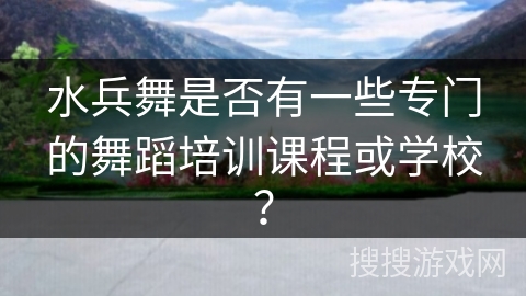 水兵舞是否有一些专门的舞蹈培训课程或学校？
