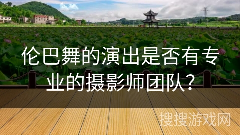 伦巴舞的演出是否有专业的摄影师团队？