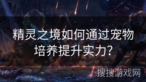 精灵之境如何通过宠物培养提升实力？