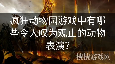 疯狂动物园游戏中有哪些令人叹为观止的动物表演？