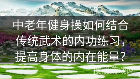 中老年健身操如何结合传统武术的内功练习，提高身体的内在能量？