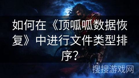 如何在《顶呱呱数据恢复》中进行文件类型排序？