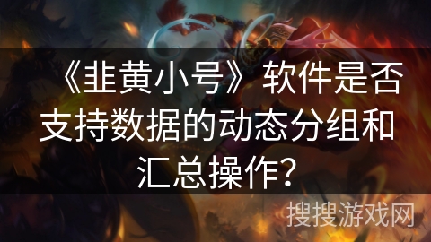 《韭黄小号》软件是否支持数据的动态分组和汇总操作？