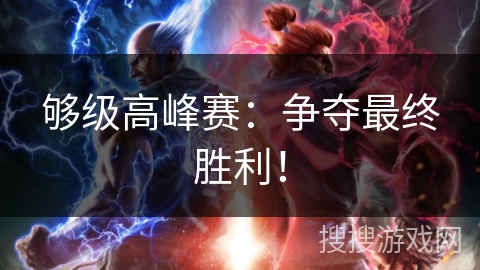 够级高峰赛：争夺最终胜利！