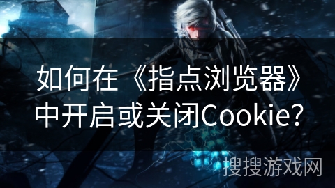 如何在《指点浏览器》中开启或关闭Cookie？