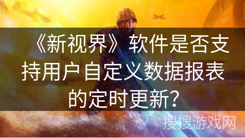 《新视界》软件是否支持用户自定义数据报表的定时更新？