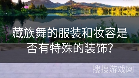 藏族舞的服装和妆容是否有特殊的装饰？