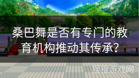 桑巴舞是否有专门的教育机构推动其传承？