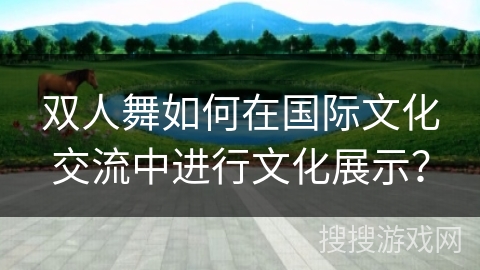 双人舞如何在国际文化交流中进行文化展示？