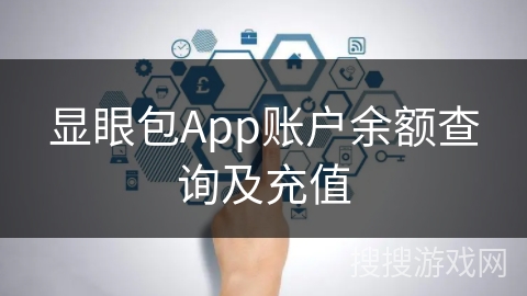 显眼包App账户余额查询及充值