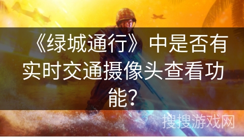 《绿城通行》中是否有实时交通摄像头查看功能？
