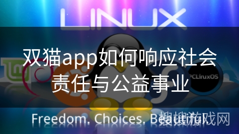 双猫app如何响应社会责任与公益事业
