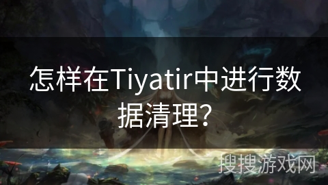 怎样在Tiyatir中进行数据清理？