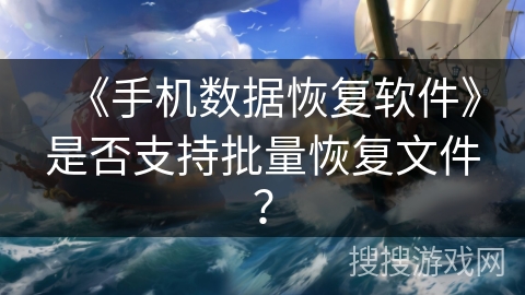《手机数据恢复软件》是否支持批量恢复文件？