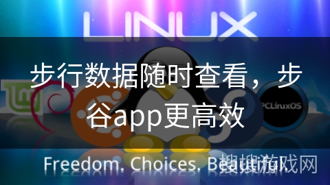 步行数据随时查看，步谷app更高效