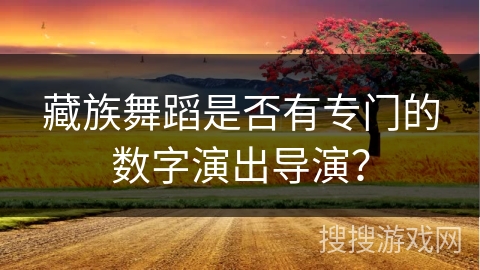 藏族舞蹈是否有专门的数字演出导演？