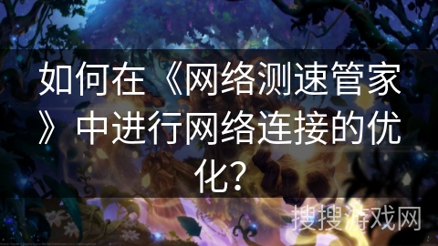 如何在《网络测速管家》中进行网络连接的优化？
