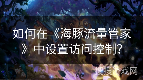 如何在《海豚流量管家》中设置访问控制？