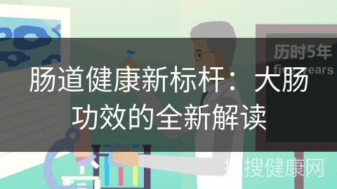 肠道健康新标杆：大肠功效的全新解读