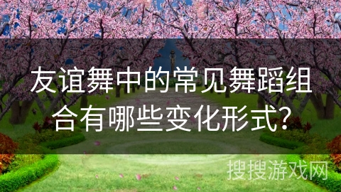 友谊舞中的常见舞蹈组合有哪些变化形式？