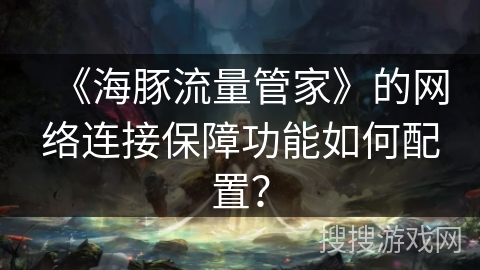《海豚流量管家》的网络连接保障功能如何配置？