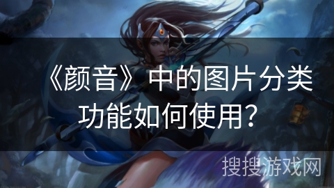 《颜音》中的图片分类功能如何使用？