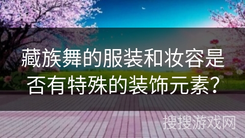 藏族舞的服装和妆容是否有特殊的装饰元素？
