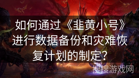 如何通过《韭黄小号》进行数据备份和灾难恢复计划的制定？