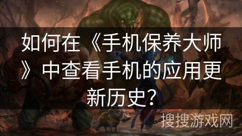 如何在《手机保养大师》中查看手机的应用更新历史？