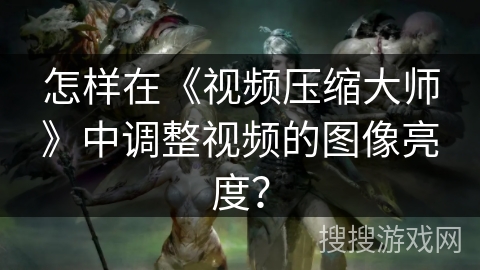 怎样在《视频压缩大师》中调整视频的图像亮度？