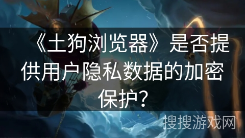 《土狗浏览器》是否提供用户隐私数据的加密保护？