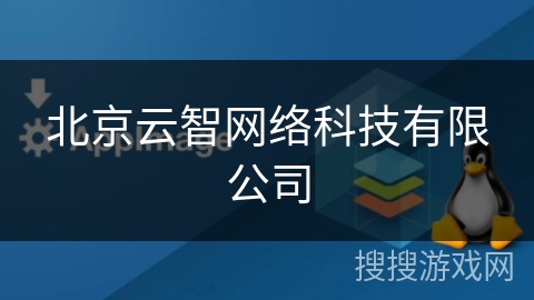 北京云智网络科技有限公司