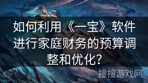 如何利用《一宝》软件进行家庭财务的预算调整和优化？
