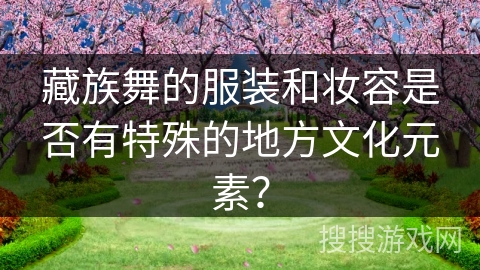 藏族舞的服装和妆容是否有特殊的地方文化元素？