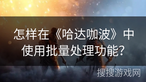 怎样在《哈达咖波》中使用批量处理功能？