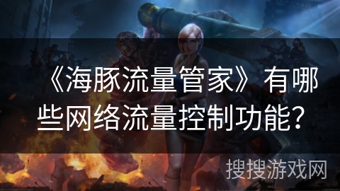 《海豚流量管家》有哪些网络流量控制功能？