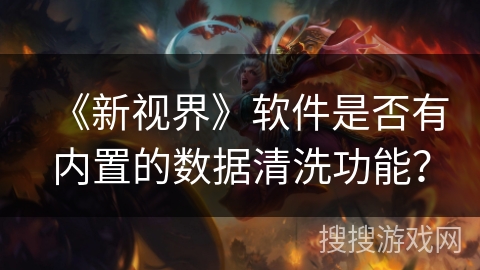 《新视界》软件是否有内置的数据清洗功能？