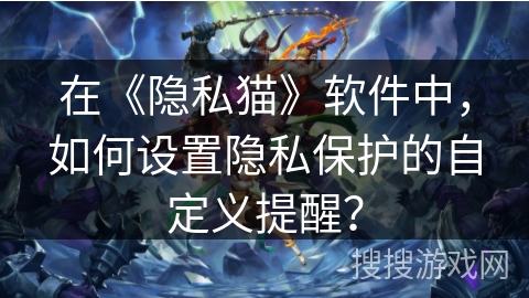 在《隐私猫》软件中，如何设置隐私保护的自定义提醒？