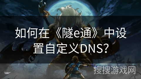 如何在《隧e通》中设置自定义DNS？