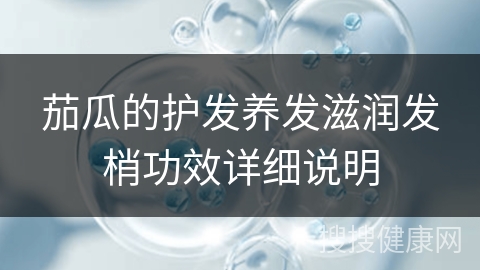 茄瓜的护发养发滋润发梢功效详细说明