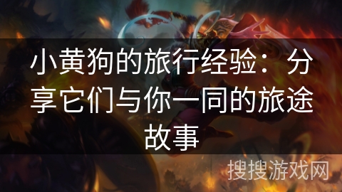 小黄狗的旅行经验：分享它们与你一同的旅途故事
