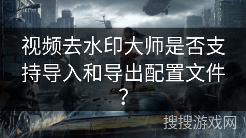 视频去水印大师是否支持导入和导出配置文件？