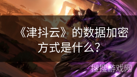 《津抖云》的数据加密方式是什么？