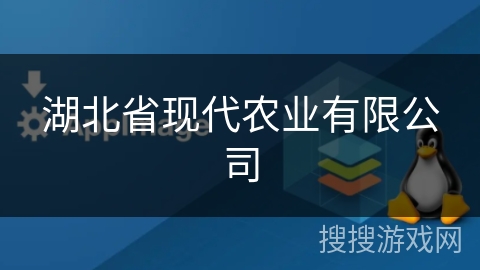 湖北省现代农业有限公司