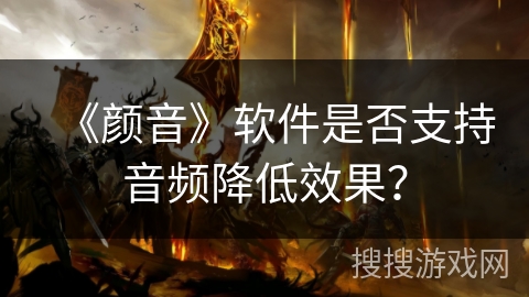 《颜音》软件是否支持音频降低效果？