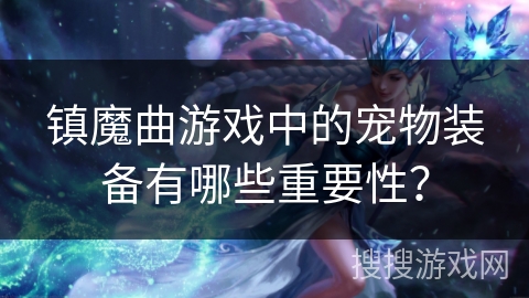 镇魔曲游戏中的宠物装备有哪些重要性？