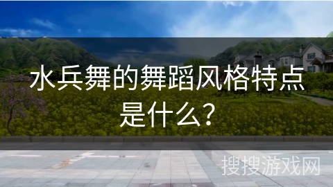 水兵舞的舞蹈风格特点是什么？