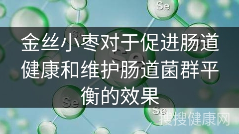 金丝小枣对于促进肠道健康和维护肠道菌群平衡的效果