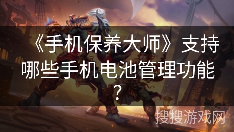 《手机保养大师》支持哪些手机电池管理功能？