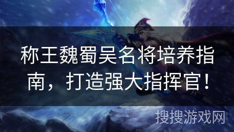 称王魏蜀吴名将培养指南，打造强大指挥官！